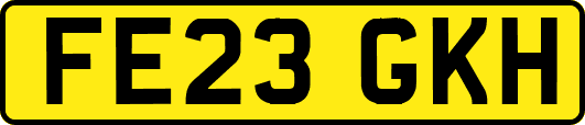 FE23GKH