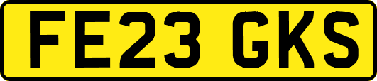 FE23GKS