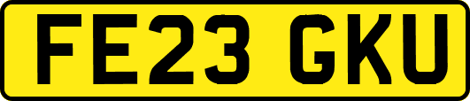 FE23GKU