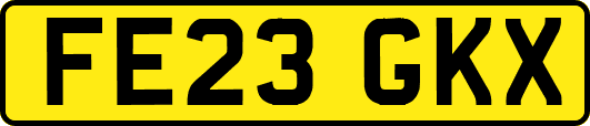 FE23GKX