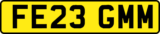 FE23GMM
