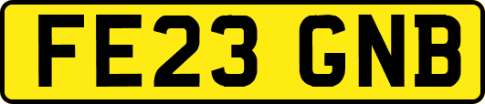 FE23GNB