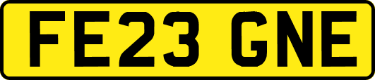 FE23GNE