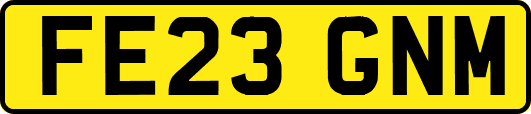 FE23GNM
