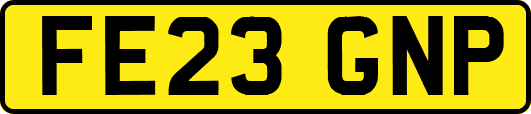 FE23GNP