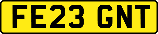 FE23GNT