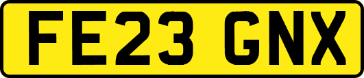 FE23GNX