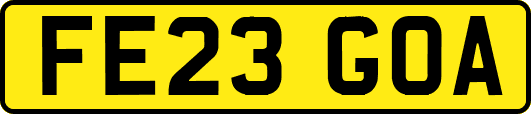 FE23GOA