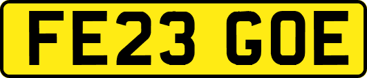 FE23GOE