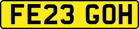 FE23GOH