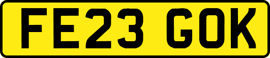 FE23GOK