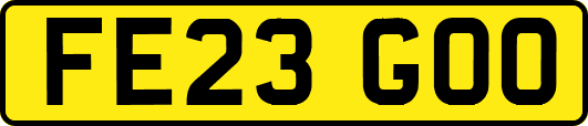FE23GOO