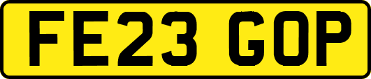 FE23GOP