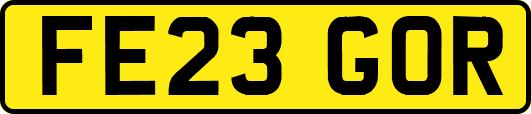 FE23GOR
