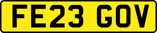 FE23GOV