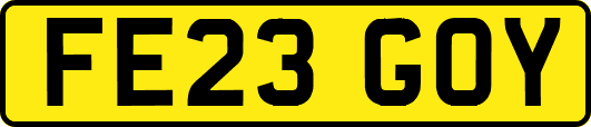 FE23GOY