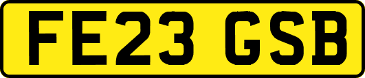 FE23GSB