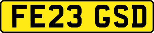 FE23GSD