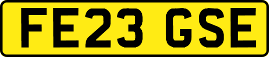 FE23GSE