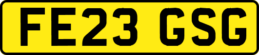 FE23GSG