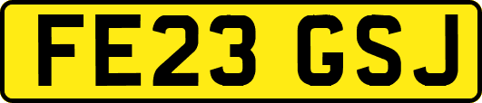 FE23GSJ