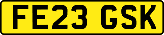 FE23GSK