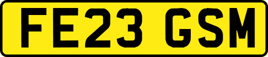 FE23GSM
