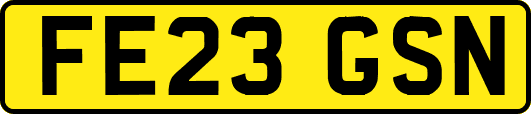 FE23GSN