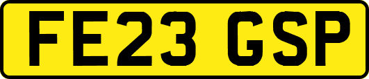 FE23GSP