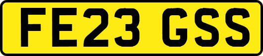 FE23GSS