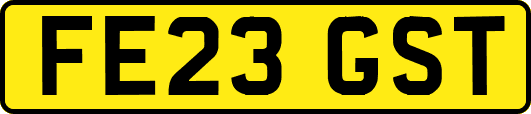 FE23GST