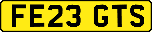 FE23GTS