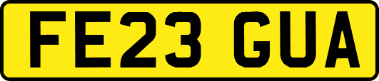 FE23GUA