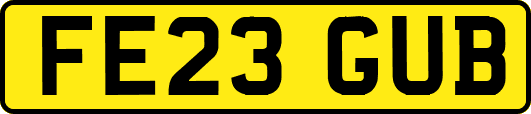 FE23GUB
