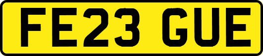 FE23GUE