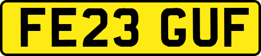 FE23GUF