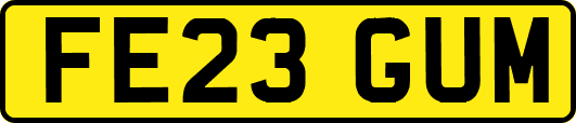 FE23GUM