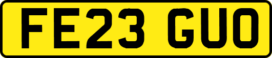 FE23GUO