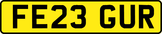 FE23GUR