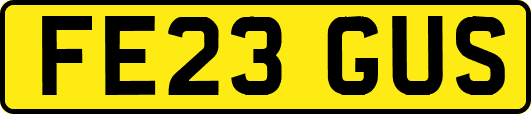 FE23GUS