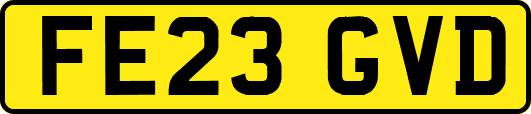 FE23GVD
