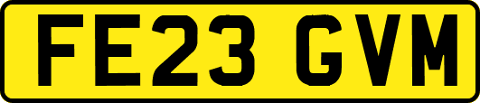 FE23GVM