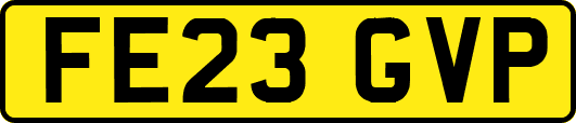 FE23GVP