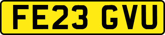 FE23GVU