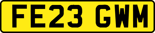 FE23GWM