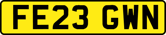FE23GWN
