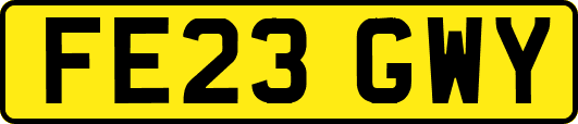 FE23GWY