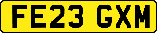 FE23GXM