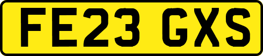 FE23GXS