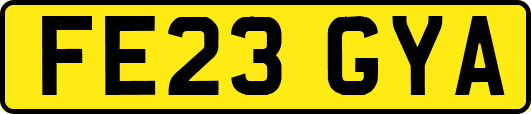FE23GYA